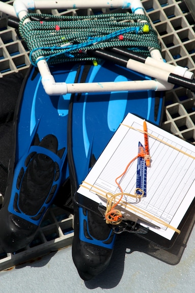 Data sheets, quadrats and meter sticks are just some of the equipment used to survey the coral reefs during the expedition Data sheets, quadrats and meter sticks are just some of the equipment used to survey the coral reefs during the expedition