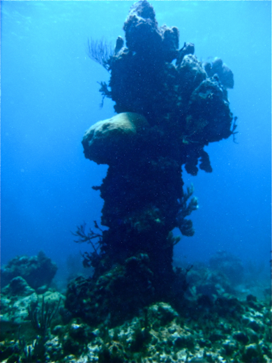 Coral pillar