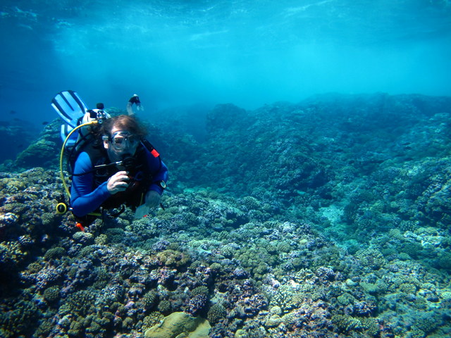 Jim Evans enjoying the coral cover on the shallow reef