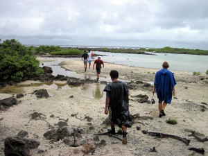 An easy hike along the beach to find the whale skull