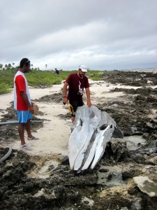 Serge and Bertrand realizing that the skull is a lot heavier than 70kg
