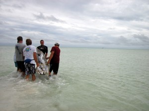 Carrying the skull across the lagoon to reach the boat (barely seen in the background)